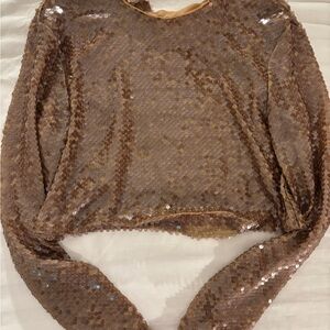 Zara Brown Sequin Crop Top